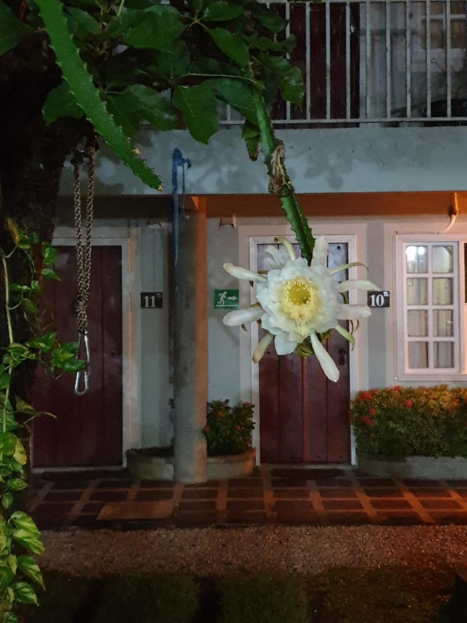 Hotel Liberia Extérieur photo