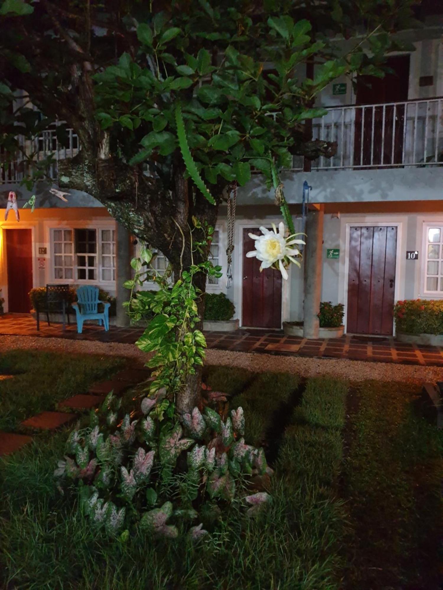 Hotel Liberia Extérieur photo